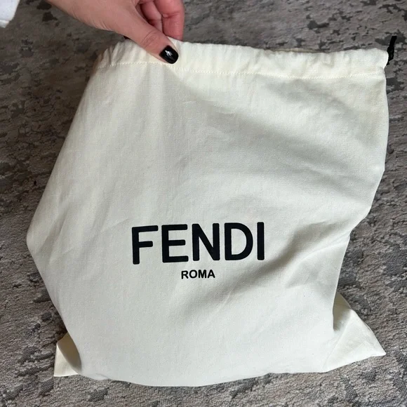 New Fendi Backpack - Picture 14 of 16